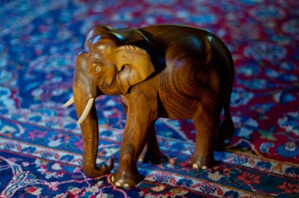 4747129331_4d7fb76880_o-1