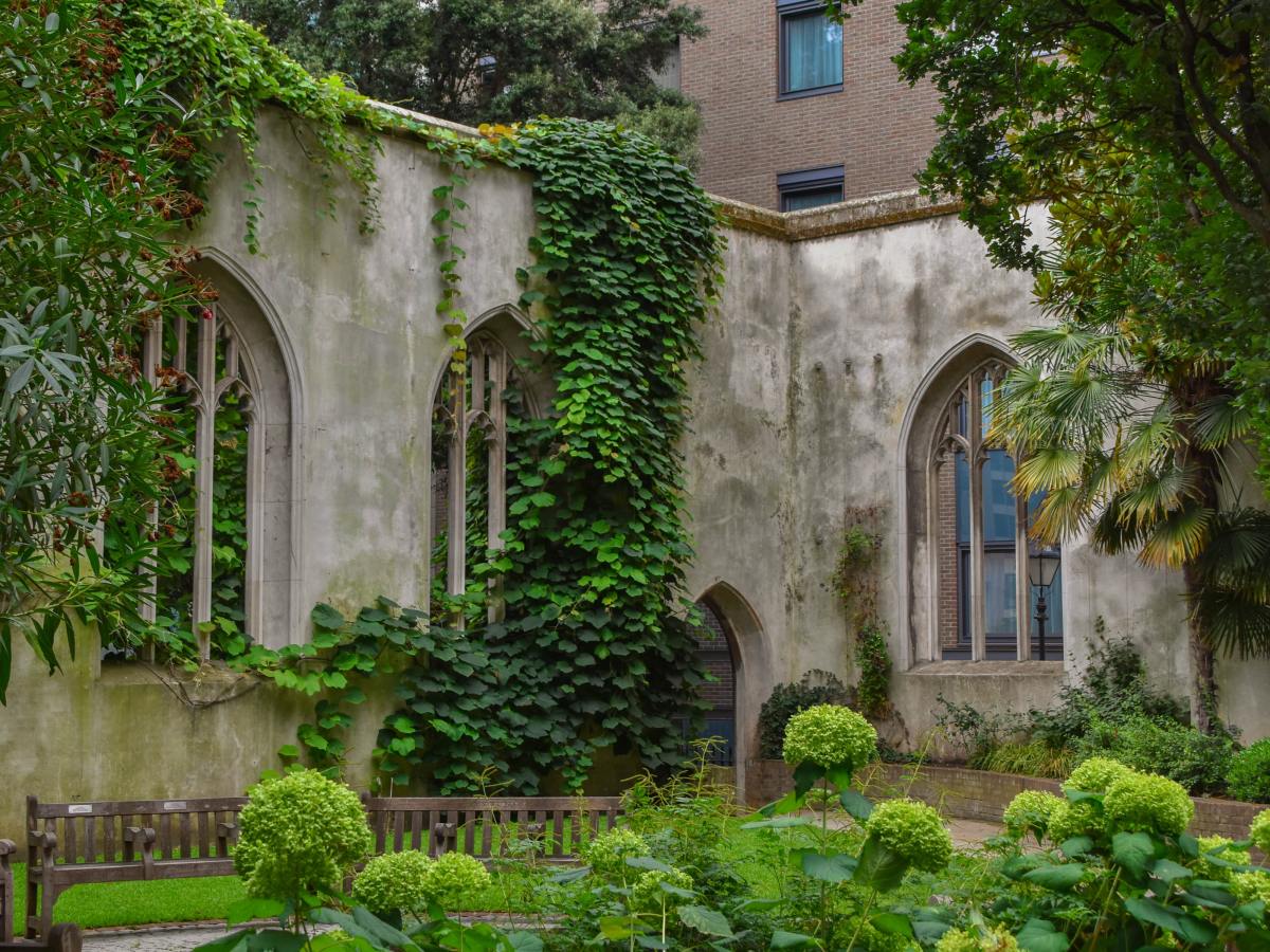 8 Creation Care Resolutions Passed Via Consent&nbsp;Calendar